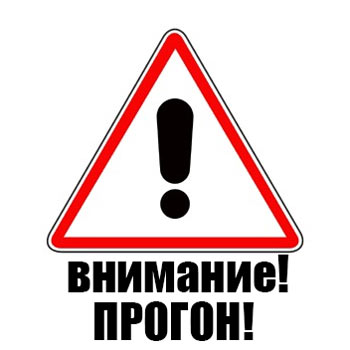 Прогон